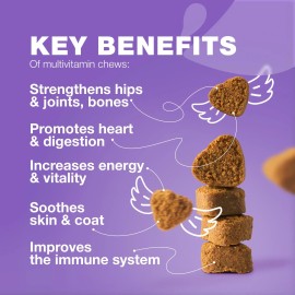 UD_Dog Vitamins 15 in 1   Dog Multivitamin Chews with MSM for Hip & Joint Health   Dog Supplement for Itchy Skin Relief   Multiv