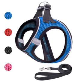 Dog Harness and Leash Set for Walking, Breathable Lightweight Soft Mesh Step-in Puppy Cat Dog Vest Harnesses, Reflective & Adjustable Harness Escape Proof for Small Medium Dogs Cats