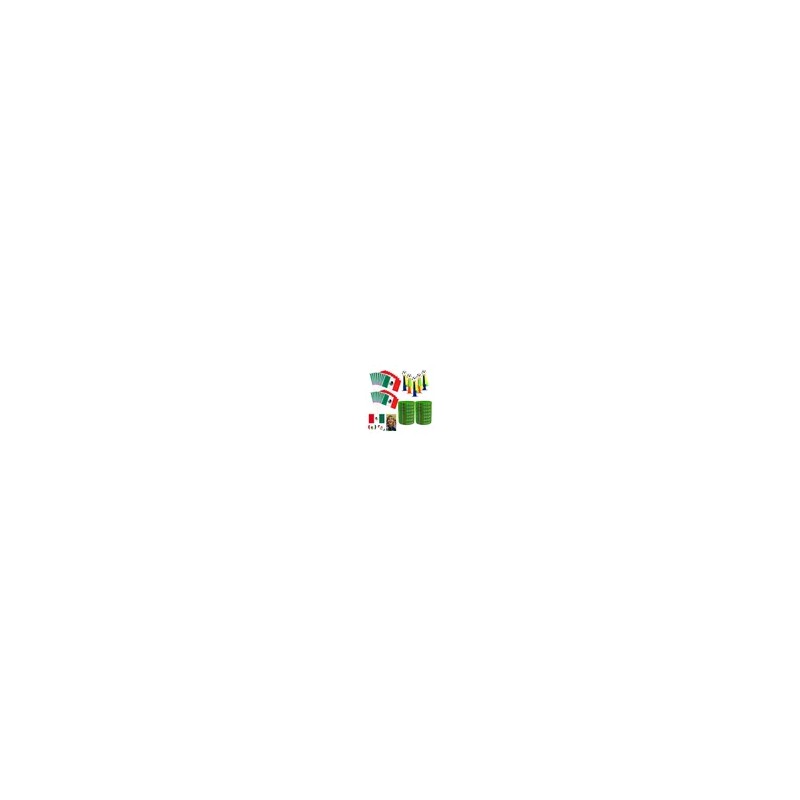 Kit Fútbol México Banderas Silbatos Pulseras Y Stickers