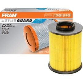 FRAM Extra Guard Engine Air Filter Replacement, Easy Install w/ Advanced Engine Protection and Optimal Performance, CA11114 for Select Ford and Lincoln Vehicles