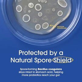 Probiotics for Women and Men - with Lactase Enzyme and Prebiotic Fiber for Digestive Health - 80 Percent + More Potent Supplement for Gut Health Suppo