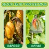 DECYOOL 30 Pack 8 x 12 Inches Fruit Protection Wire