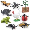 Montessori Frog Life Cycle Flash Cards, Plastic Insects Tadpole to