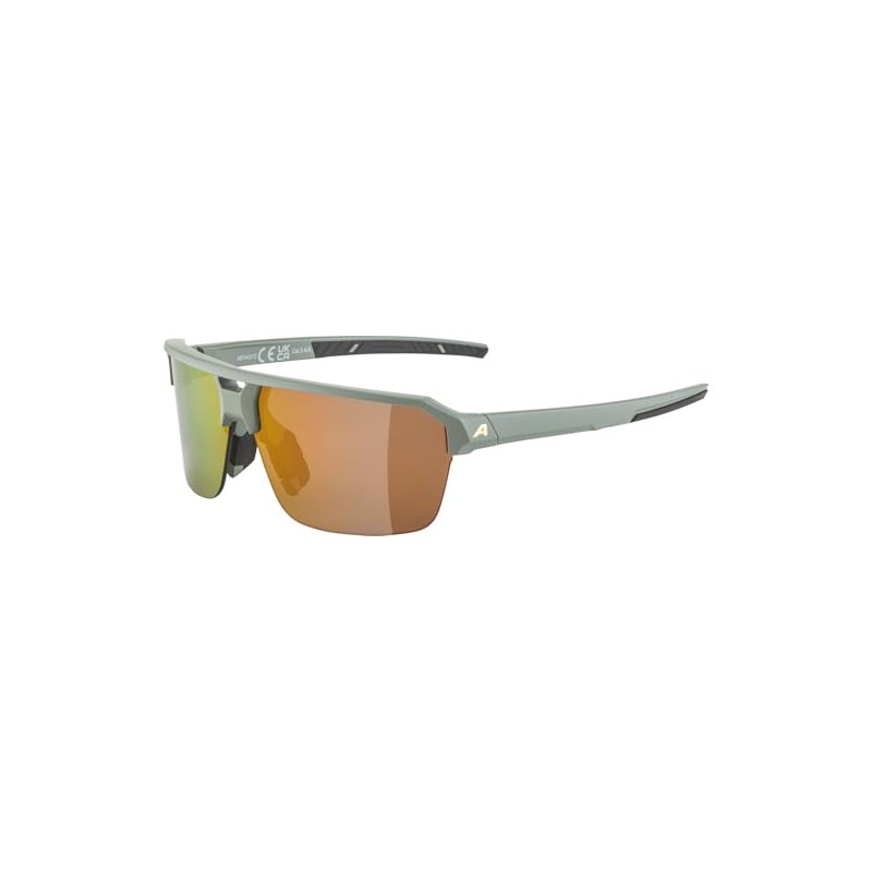 ALPINA Swift HR Stylish Sunglasses for Adults Willow-Green Matt