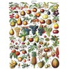 New York Puzzle Company - Vintage Images Fruits - 1000