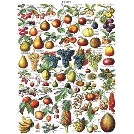 New York Puzzle Company - Vintage Images Fruits - 1000 Piece Jigsaw Puzzle for Adults by Adolphe Philippe Millot