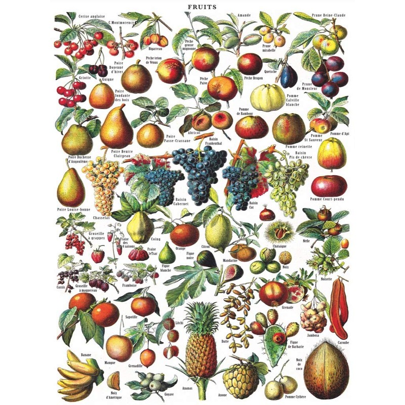 New York Puzzle Company - Vintage Images Fruits - 1000