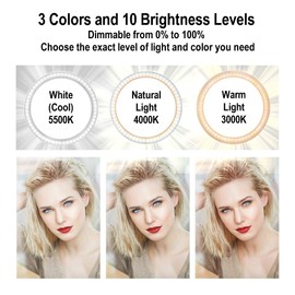 DaVoice Desktop Ring Light for Zoom Meetings, Small Ring Light for Desk with Stand, Tabletop Ring Light for Desktop, Table Top Ring Light with Stand and Phone Holder, 10" 3 Light Modes