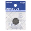 TOTO Foamatsu Cap (For 0.5 inch (13 mm) Faucets) Screw