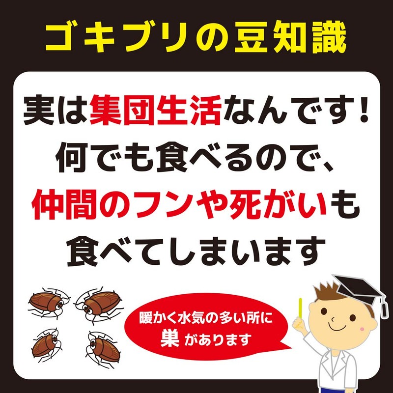 KINCHO Combat Cockroach Insecticide Large Container, 1 Year, Pack of
