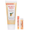 Burt's Bees Gift Set A Gift Of Nature