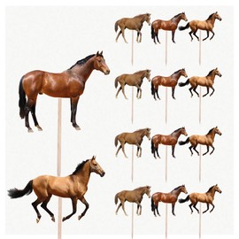 AK Giftshop Horse Horses Birthday Party Food Cupcakes Picks Decorations Toppers (pack of 14)