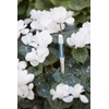 Sustee Aquameter (Small White Refillable - Bundle of 2) -