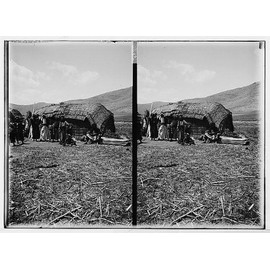HistoricalFindings Photo: Beduin,Bedouin Tent of paprus,Papyrus,Middle East,Nomadic Arabs,Matson Photo