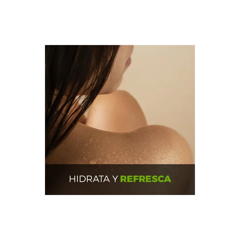 Crema Corporal Extra Hidratante Jengibre 10 Litros Beohemp