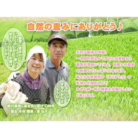 Kimuraen 1 Liter Cold Brew Sencha Kakegawa Deep Steamed Tea Ichiban Tea Pack, 0.2 oz (6 g) x 15 Bags