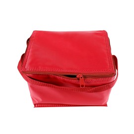 Canvas Stripe Lunch Picnic Totes Bag, Red, L