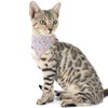 Easter Cat Collar Breakaway with Bow Tie Bandana and Bell