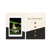 Lantern Press Tree Frog (52 Playing Cards, Poker Size Card