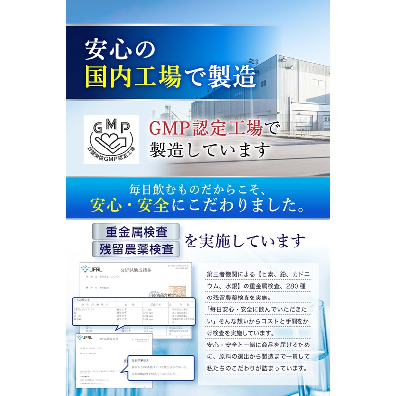 【脳神経科医が監修】 ホスファチジルセリン サプリ GABA【配合量業界トップレベルのPSサプリ】【集中力ｘ落ち着き】【クリア成分10種類ｘ30日分120粒ｘ国内製造】[ごじげん健康堂] (1袋)