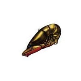 ISSEI #07 Vibration G.C. Zari Vibe 2.6 inches (67 mm), 0.7 oz (20 g) Kinkro Lure