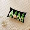 Ogiselestyle St Patricks Day Luck Gnomes Throw Pillow Cover, 12