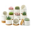 ZOUTOG 12 Pack Ceramic Succulent Pots,4 Inch Plant Pots,Succulent Planters