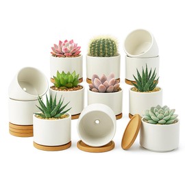 ZOUTOG 12 Pack Ceramic Succulent Pots,4 Inch Plant Pots,Succulent Planters with Drainage Hole & Bamboo Tray for Indoor Plants,White Small Flower Planters for Home,Office,Desk