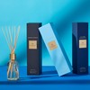 Glasshouse Fragrances Arabian Nights Reed Diffuser, Home Fragrance & Perfume