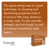 Friendly Soap Travel Soap Bar for Hair and Body (Case