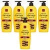Elastine Moroccan Argan Oil Intensive Nutrition Damage Conditioner, 5 pieces, 680ml / 엘라스틴 모로칸 아르간오일 집중영양 데미지 컨디셔너, 5개, 680ml