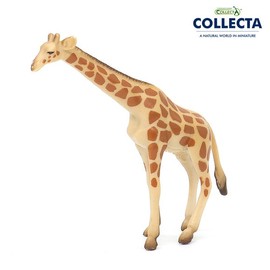 Collecta Terrarium Mini Giraffe Animal Figure Miniature Diorama Decorative Prop Materials / 컬렉타 테라리움 미니 기린 동물 피규어 미니어처 디오라마 장식 소품 재료