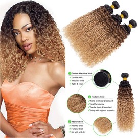 ELEE'S HAIR Kinkys Real Hair Bundles Curls Ombre Curls Curls Hair Real Hair Fabric 3 Bundles 1b/30/27 (Shade 1B/30/27, 14)