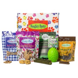 Naughty Spotty Dog Treat Box with Dinosaur Egg-Shaped Treat Dispenser, Made in The USA Treats & Chews for Md/Lg Dogs, (Peanut Butter, Blueberry, Peppermint, Duck Flavors).