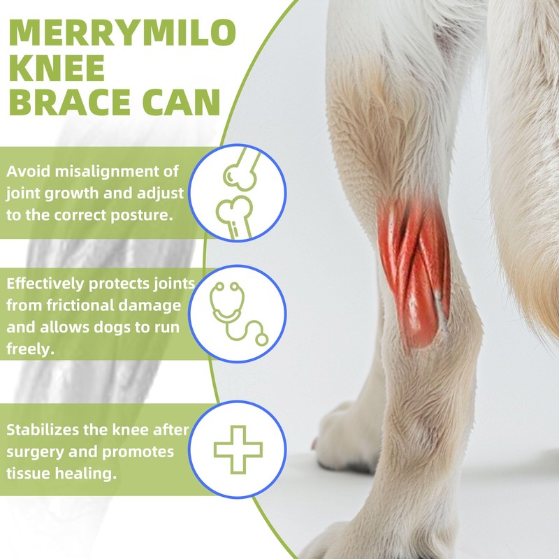 Lushnessu Adjustable Dog Leg Brace - ACL, Torn Ligament &