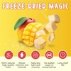 Freeze-Dried Fruit Mango Chips, 10 Pack Single-Serve Pack, No Added