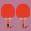 Practice Training Double-Sided Table Tennis Paddle Racket Ball Set 0321 Table Tennis Racket Set 2ea