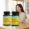 Premium Brazilian Green Propolis Vitamin C & Zinc 90 capsules (2 packs) / 프리미엄 브라질 그린 프로폴리스 비타민C 앤 아연 90캡슐 2통