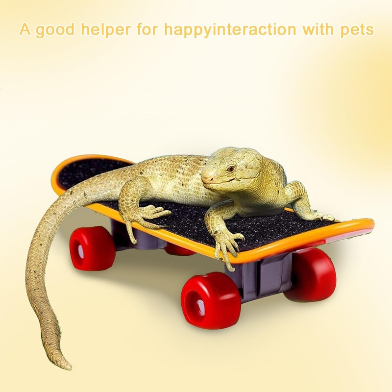 Mini Turtle Skateboard for Small Pets - Fun Tortoise Skateboard