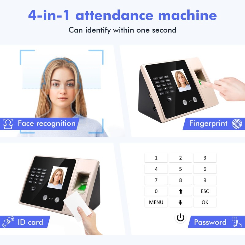 Time Tracking for Small Businesses, No Network Required, Employee Attendance