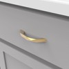 Hickory Hardware 1 Pack Solid Core Kitchen Cabinet Pulls, Luxury
