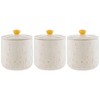 Price & Kensington Ceramic Tea, Coffee and Sugar Canisters Set,