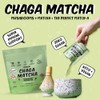 Renude Chaga Matcha - Polvo De Hongo Chaga, Bebida Superalimenticia