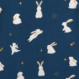 O2 BABY Toddler Pajamas Boys Girls Pajama Set Viscose from Bamboo Baby Pajamas Sleepwear 2-piece PJS Set Snug fit Sleepwear Top and Pants for Daily (6-7 Years, Bunny)