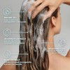 Moroccanoil Champú para controlar el encrespamiento