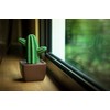 Lively Breeze Maxi Cactus, Non-Electric Ceramic Diffusers for Essential Oils