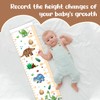 Baby Height Growth Chart, Dragon Theme Decor Height Chart for
