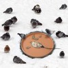 Bird Bath Heater for Outdoors in Winter Birdbaths Deicer with