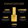 APRS Aprs Extend Gel Gold Bottle Edition - Gel-X Tips