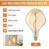ALAMPEVER Dimmable LED Decorative Oversized Edison Bulbs 25W, 2200K Warm